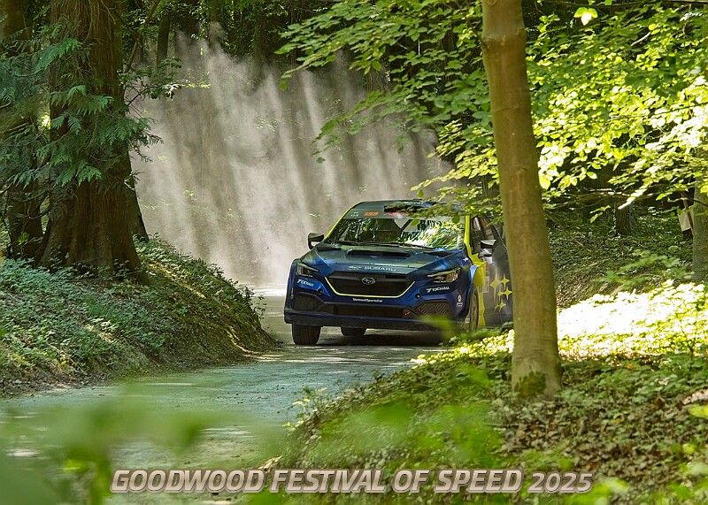 20250711FOSGOODWOOD2500246A.JPG
