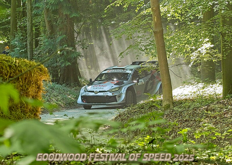 20250711FOSGOODWOOD2500250A.JPG
