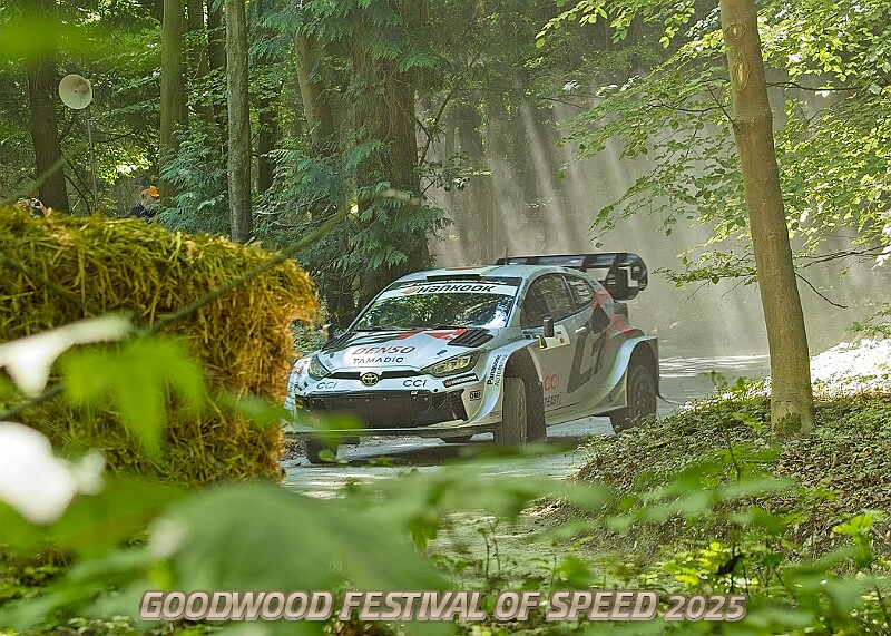20250711FOSGOODWOOD2500252A.JPG