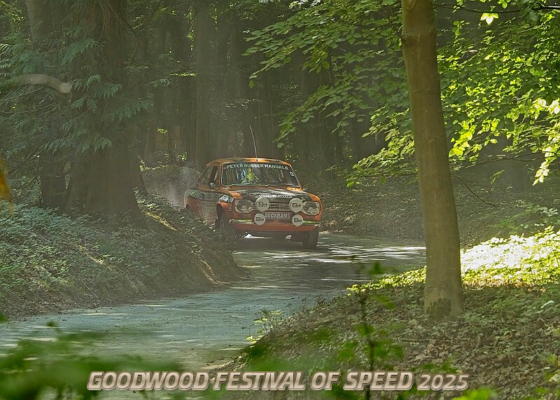 20250711FOSGOODWOOD2500256A.JPG