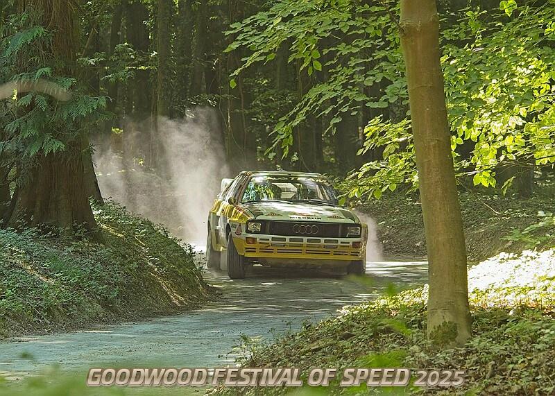 20250711FOSGOODWOOD2500273A.JPG