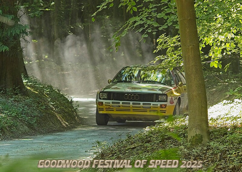 20250711FOSGOODWOOD2500274A.JPG