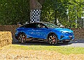 20250710FOSGOODWOOD25A00367A