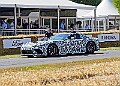 20250710FOSGOODWOOD25B00046A