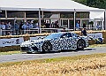 20250710FOSGOODWOOD25B00048A
