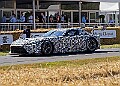 20250710FOSGOODWOOD25B00049A