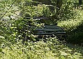 20250711FOSGOODWOOD2500008A