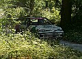 20250711FOSGOODWOOD2500010A