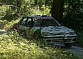 20250711FOSGOODWOOD2500011A