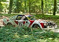 20250711FOSGOODWOOD2500041A
