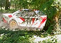 20250711FOSGOODWOOD2500045A