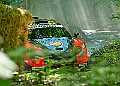 20250711FOSGOODWOOD2500059A