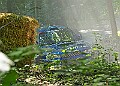 20250711FOSGOODWOOD2500071A