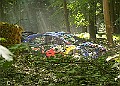 20250711FOSGOODWOOD2500086A