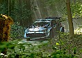 20250711FOSGOODWOOD2500101A