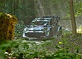 20250711FOSGOODWOOD2500102A