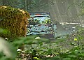 20250711FOSGOODWOOD2500106A