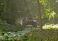 20250711FOSGOODWOOD2500114A