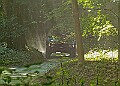 20250711FOSGOODWOOD2500115A