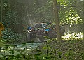20250711FOSGOODWOOD2500119A