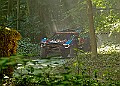 20250711FOSGOODWOOD2500121A