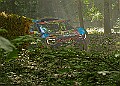 20250711FOSGOODWOOD2500127A