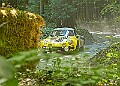 20250711FOSGOODWOOD2500161A
