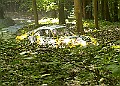 20250711FOSGOODWOOD2500162A