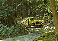 20250711FOSGOODWOOD2500167A