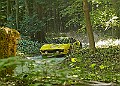 20250711FOSGOODWOOD2500170A