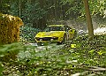 20250711FOSGOODWOOD2500171A