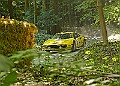 20250711FOSGOODWOOD2500172A