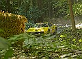 20250711FOSGOODWOOD2500173A