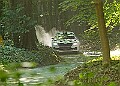 20250711FOSGOODWOOD2500174A