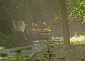 20250711FOSGOODWOOD2500193A