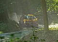 20250711FOSGOODWOOD2500194A