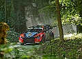 20250711FOSGOODWOOD2500205A
