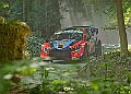 20250711FOSGOODWOOD2500206A