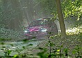 20250711FOSGOODWOOD2500216A