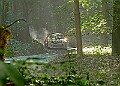 20250711FOSGOODWOOD2500227A