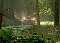 20250711FOSGOODWOOD2500228A