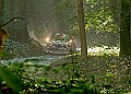 20250711FOSGOODWOOD2500230A