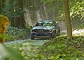20250711FOSGOODWOOD2500238A