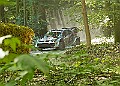 20250711FOSGOODWOOD2500251A