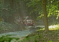 20250711FOSGOODWOOD2500256A