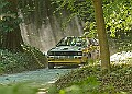 20250711FOSGOODWOOD2500276A
