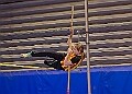 20250323KWANINDOORSA00200A