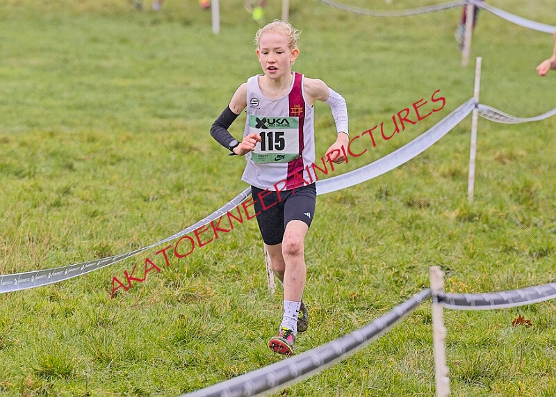 20260207 LONC XC00002A.JPG