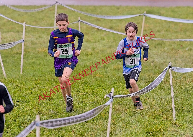 20260207 LONC XC00027A.JPG