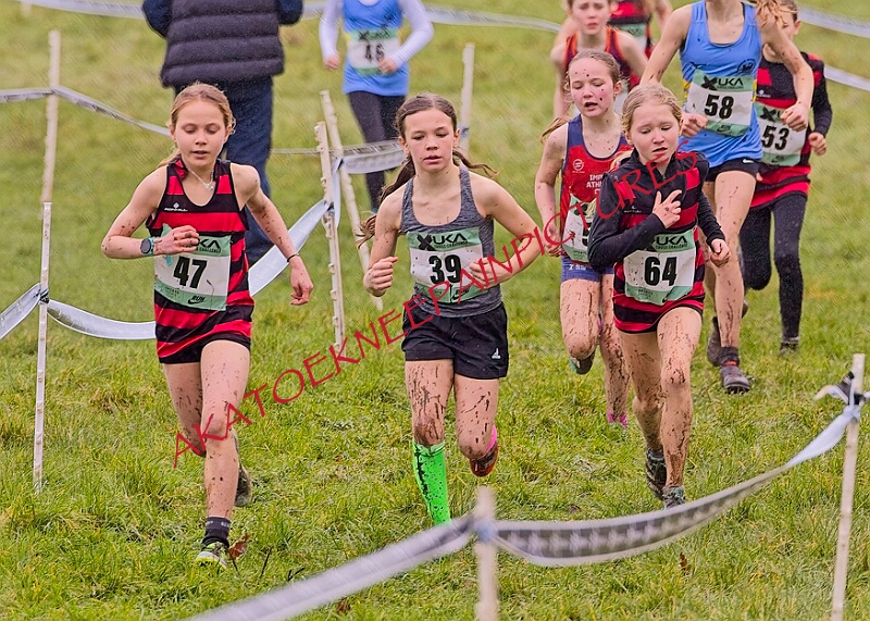 20260207 LONC XC00104A.JPG